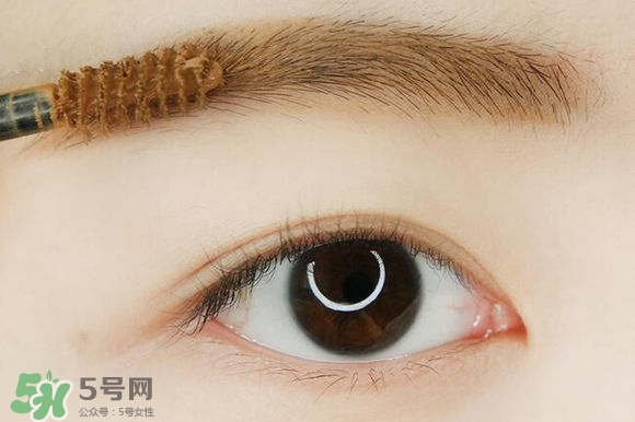 ��ʥ��ױ����ô������ʥ����ױ�̳�